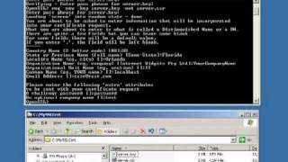 How to setup a self signed SSL certificate on IIS6  Part 2 of 3 [upl. by Aivirt]