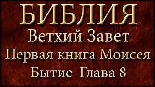 БиблияВетхий заветПервая книга Моисея БытиеГлава 8 [upl. by Guss]