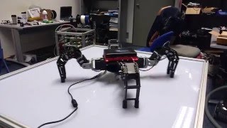 First test of my quadruped 12 dynamixel ax12a driven by TRIK controller [upl. by Nosde951]