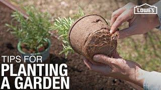 Tips and Tricks for How To Plant a Garden  Gardening Basics [upl. by Evey]