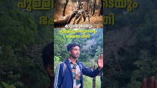 കടുവയുടെയും പുലിയുടെയും ഭക്ഷണരീതി  Periyar Tiger Reserve  shorts [upl. by Aleekahs]