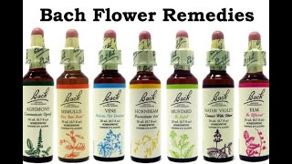 BACH FLOWER REMEDIES FOR QUALITY OF LIFE [upl. by Hamimej]