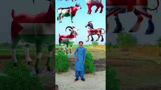 Bado bade viral vfx shortvideo islamicshorts shorts [upl. by Amadeo]