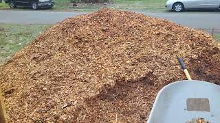 new woodchip pile for the winter season [upl. by Junieta]