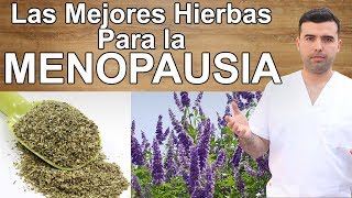 Las Mejores Hierbas Para la Menopausia [upl. by Melva]