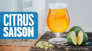 Receita Citrus Saison Cerveja Belga Fácil e Rápida [upl. by Evin]