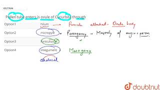 Pollen tube enters is ovule of Cucurbita through [upl. by Hareemas]