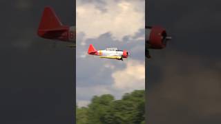 Giant Scale RC AT6 Texan’s MindBlowing Radial Engine Sound [upl. by Aleahc680]