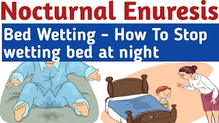 Bed Wetting  How to stop wetting bed at night  Bed wetting problems treatment Enuresis pediatrics [upl. by Launce61]