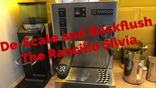 Rancilio Silvia How To Descale and Backflush Espresso Coffee Machine My Coffee Journey episode 20 [upl. by Sidran332]