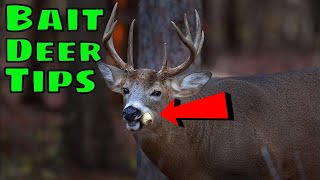 How To Bait Deer TIPSTRICKS 2020 [upl. by Parthenia]