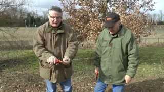 Cours de taille des arbres fruitiers  Le sécateur [upl. by Erapsag799]