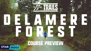 RunThrough Trails Delamere Forest Course Preview with Race Director James Tilley [upl. by Helmer]