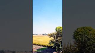 saroor  punjab intro arjan dhillon  arjan dhillon song punjab punjabisongstatus punjabisong [upl. by Eldwun971]