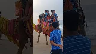 puri sea beach and sea fisher [upl. by Eaver]