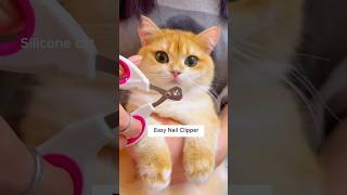 Effective cat nail clippers cat catlover catcute siliconecat [upl. by Ronal]