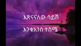 🛑Tamirat Desta Hakime Nesh lyrics Ethiopian Music [upl. by Eisse122]