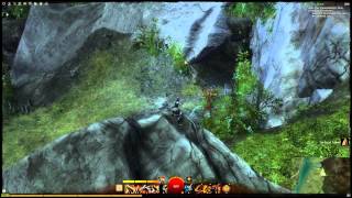 Guild Wars 2  Awesome Farming Location Tier 1 Fine Crafting Materials Weak Blood  Tiny Stuffs [upl. by Eiryk]