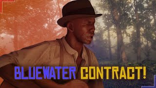 Red Dead 2 Online Blood Money  Bluewater Contract [upl. by Ennayhc]