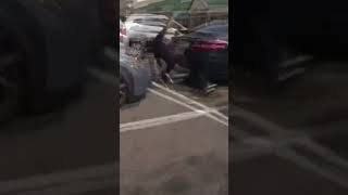 Stolen vehicle suspect crashes into cars attempts to escape on foot in Virginia [upl. by Sirap470]