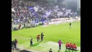 Super Dragões  Força Porto Vence por nós [upl. by Lin865]