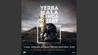 Yerba Mala Nunca Muere Remix [upl. by Nnaihs636]