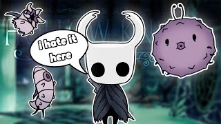 The WORST Biome in Hollow Knight [upl. by Klimesh277]