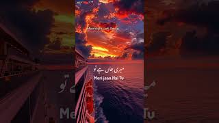 Monlightlofi Songs bhai mera yoo yoo song  viral shorts  honey sing viral songs [upl. by Ahsinar]