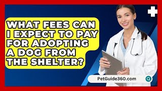 What Fees Can I Expect to Pay for Adopting a Dog from the Shelter  PetGuide360com [upl. by Anne-Corinne571]