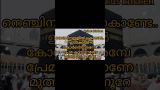 Nenjinullil kondenabidina songnabidina song lyrics 2024madh song [upl. by Anavlys576]