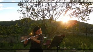 Saint Saëns  Le carnaval des animaux XIII Le cygne flute and piano [upl. by Smiley101]