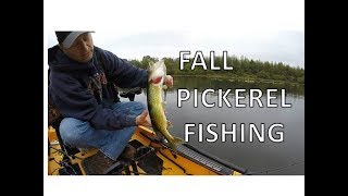 Fall Pickerel Fishing [upl. by Madlin]