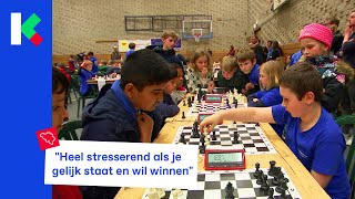 350 jongens en meisjes op het Vlaams Kampioenschap Schoolschaken [upl. by Ellerred]