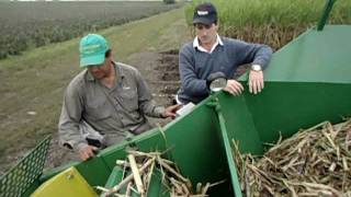 Sembradora de Caña de Azucar Neozaf 6000  Puesta a Punto Sugarcane Planter Tuningavi [upl. by Alleuqcaj912]