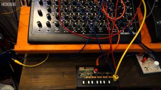 MONOTRON DELAY RESONANCE MOD  CV FOR FILTER TB 303 goes through the KORG MONOTRON MS 20 FILTER [upl. by Akienat]