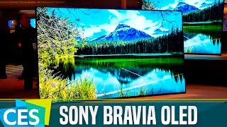 Sony Bravia OLED con Android TV primeras impresiones CES17 [upl. by Tillford798]