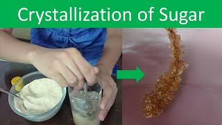 Crystallization of Sugar  Science Experiment For Kids  The Science Girl [upl. by Peppel]