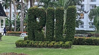 Jamaica Travel Vlog  Ocho Rios Jamaica  RIU Hotel  Part 1 yowdomo [upl. by Eelnayr500]