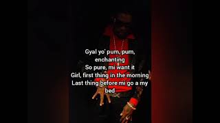 enchanting lirycs vybz kartel [upl. by Sudnor]