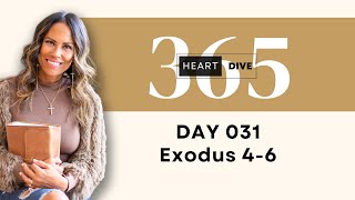 Day 031 Exodus 46  Daily One Year Bible Study  Audio Bible Reading with Commentary [upl. by Anelra]