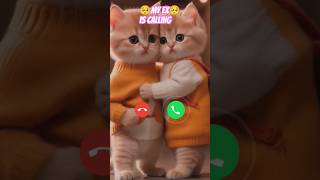 Mi telephone sound cat calling call ringtone [upl. by Ally]