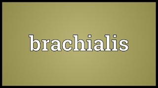 Brachialis Meaning [upl. by Marina]