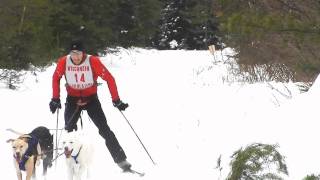 2011  3 Bear Sled Dog Race Skijoring [upl. by Soilissav]