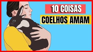 10 coisas que coelhos adoram como cuidar de coelho [upl. by Janeva]