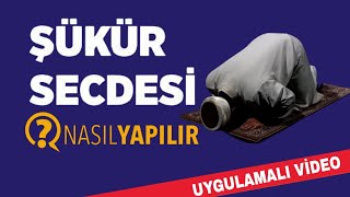 Şükür secdesi nasıl yapılır Uygulamalı örnek video [upl. by Roskes907]