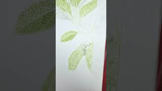 botanical art verbenaceae 51 botanicalart verbenaceae dailylog 보타닉아트 보타닉 예술 [upl. by Panta]