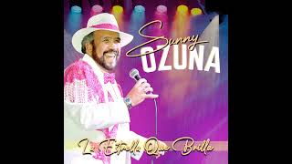 Sunny Ozuna  Vengo a Cantarles [upl. by Eyeleen799]