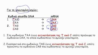 Βιολογία Κατεύθυνσης Γ Λυκείου κεφ 6 άσκ 5 [upl. by Woermer]