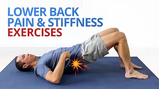 INSTANT RELIEF from Lower Back Pain and Stiffness 4 EASY Exercises [upl. by Nhepets955]