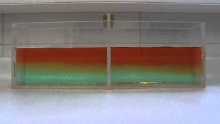 Ocean Current Salinity Experiment [upl. by Notselrahc756]